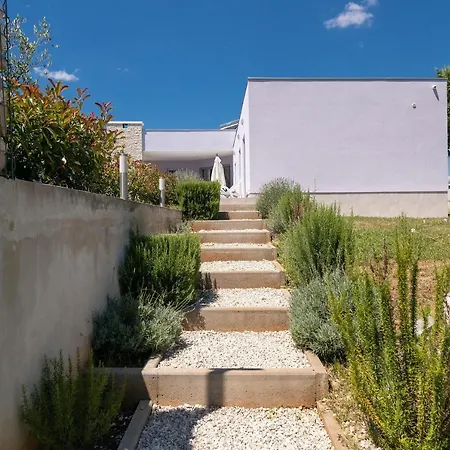 Lavanda-labin